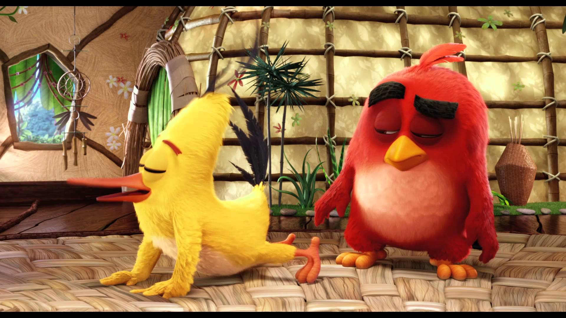 Showing Media & Posts for Angry birds movie toys xxx | www.veu.xxx